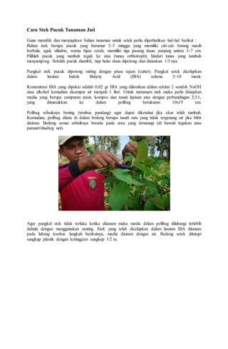 Tajuk: Toner daripada Kompaun Pucuk Jati Hijau dan Air Yang Ditapai: Ramuan Alami untuk Kulit Yang Bersih dan Sihat