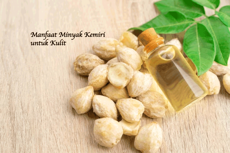 Krim Daripada Banyan Tree Wax dan Minyak Kemiri Panggang: Penjagaan Kulit Penuh Khasiat