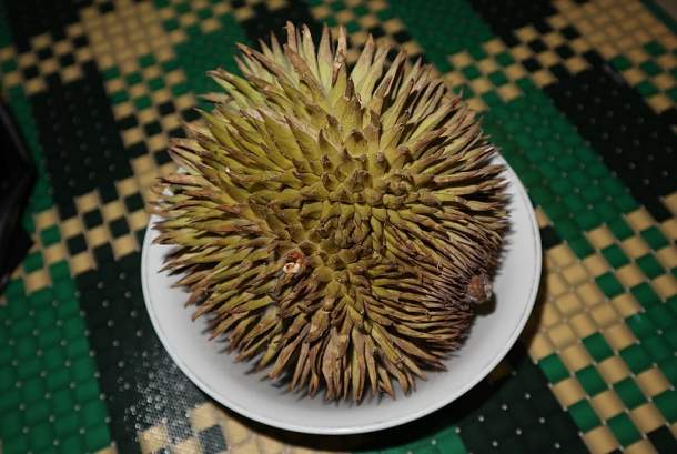 Sarung Organik dari Serat Kulit Durian Langka