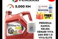 Minyak Muka daripada Biji Kenari Hitam Caucasus: Solusi Perawatan Kulit yang Berkualiti