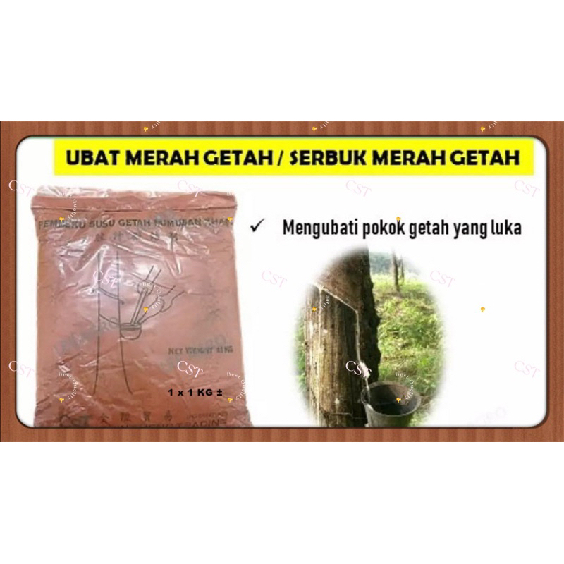Serum daripada Darah Pokok Merah Pulau Bougainville: Mengubati Masalah Kulit yang Anda Hadapi